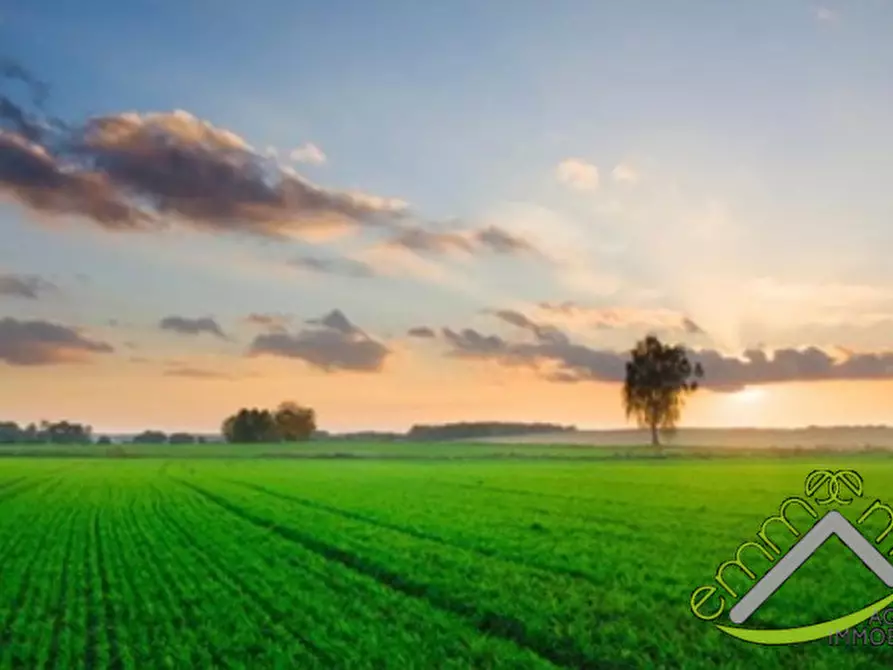 Immagine 5 di Terreno in vendita  a Piove Di Sacco
