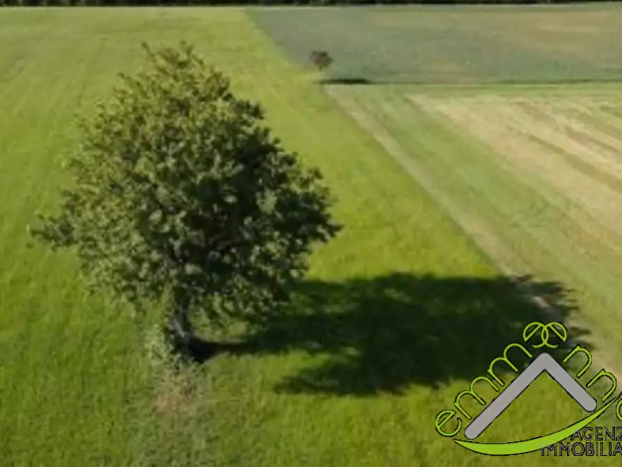 Immagine 6 di Terreno in vendita  a Piove Di Sacco