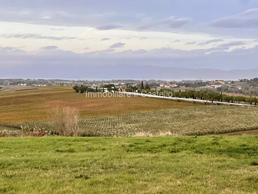 Immagine 3 di Villetta a schiera in vendita  in Paciano a Paciano