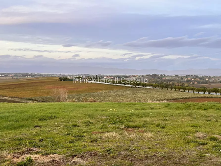 Immagine 19 di Villetta a schiera in vendita  in Paciano a Paciano