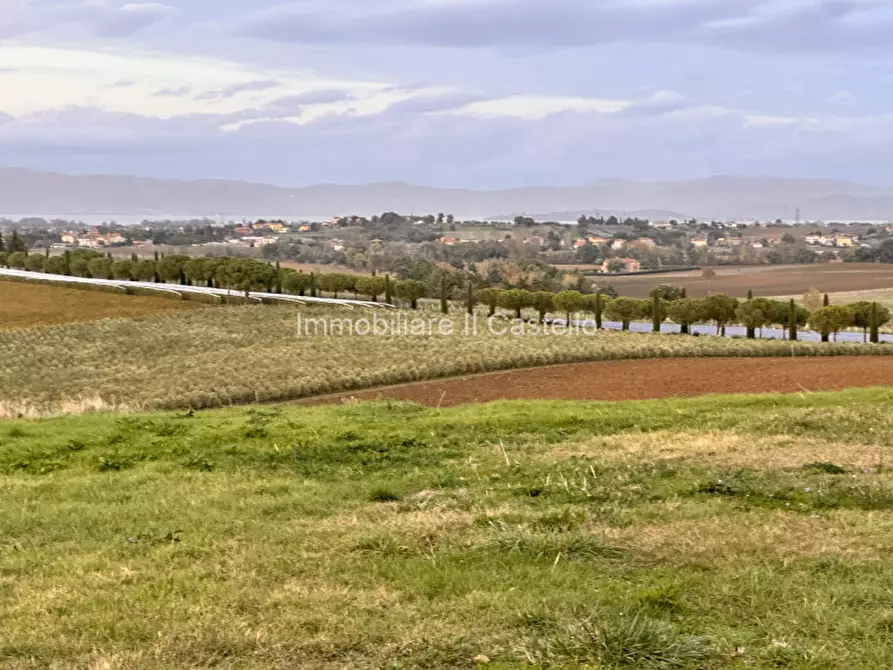 Immagine 23 di Villetta a schiera in vendita  in Paciano a Paciano