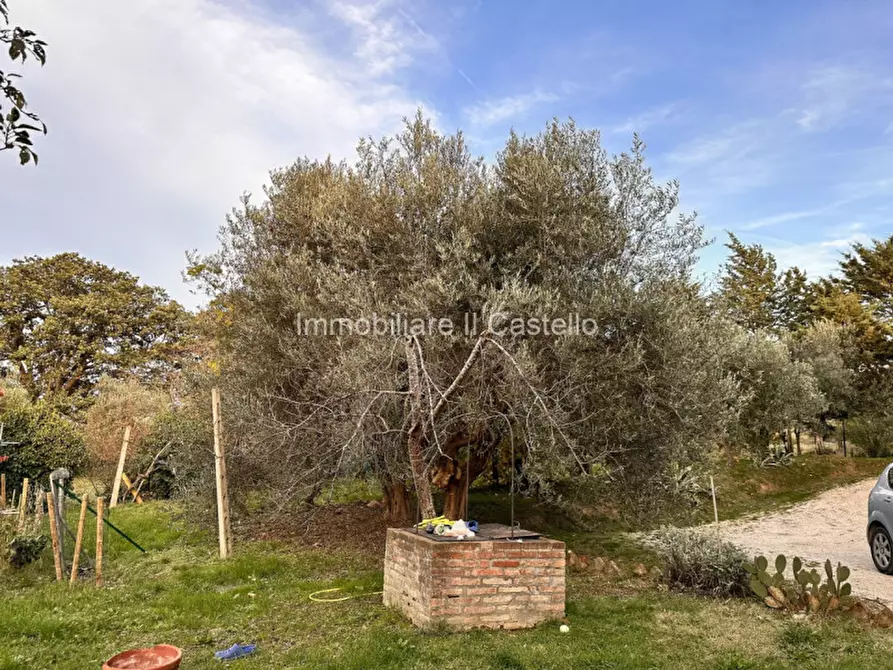 Immagine 26 di Villetta a schiera in vendita  in Paciano a Paciano