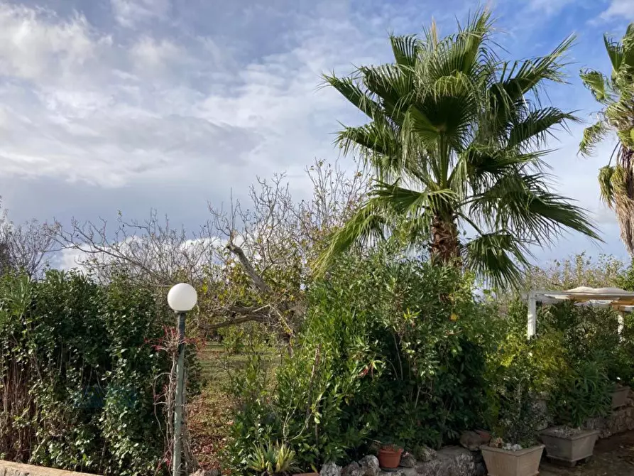 Immagine 21 di Villa in vendita  in Contrada Ulmo a Ceglie Messapico