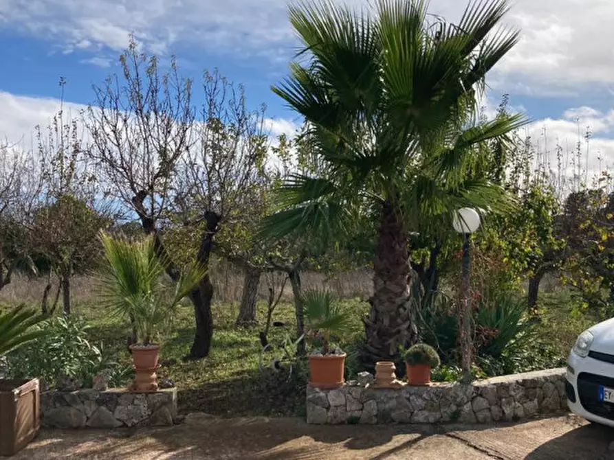Immagine 23 di Villa in vendita  in Contrada Ulmo a Ceglie Messapico