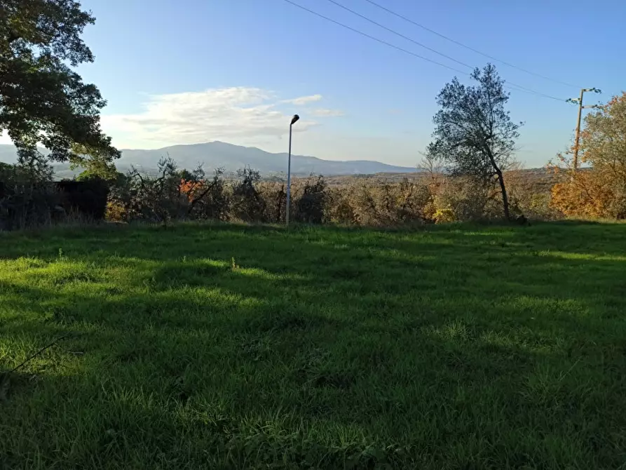 Immagine 4 di Terreno in vendita  in Località Santa Maria a Monteleone D'orvieto
