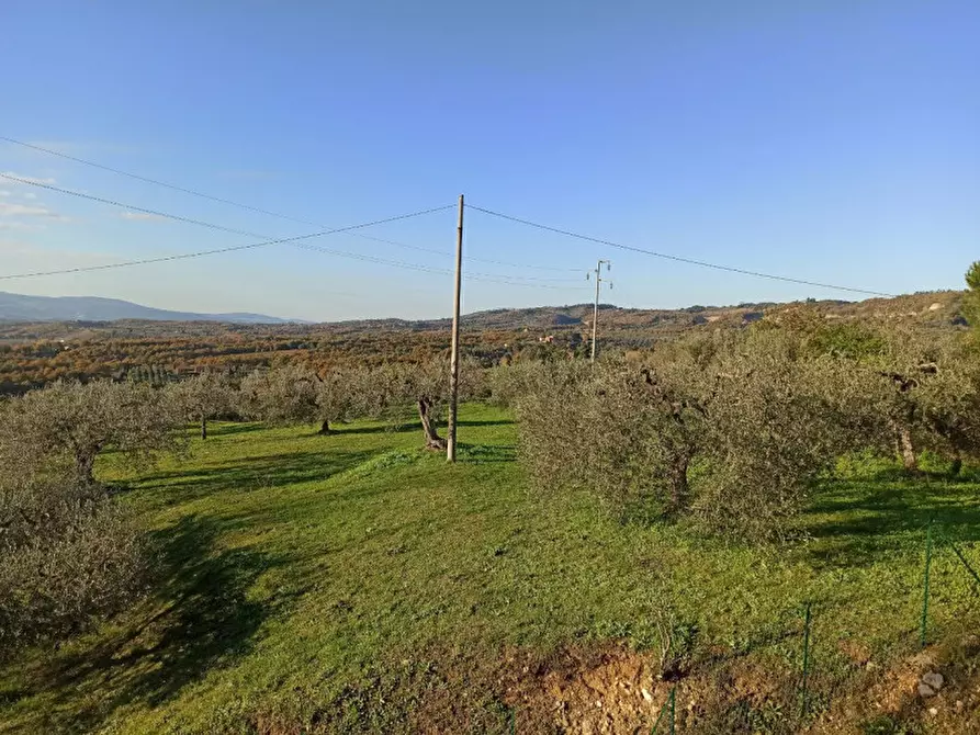 Immagine 8 di Terreno in vendita  in Località Santa Maria a Monteleone D'orvieto