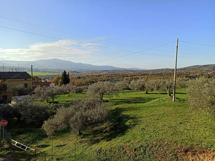 Immagine 9 di Terreno in vendita  in Località Santa Maria a Monteleone D'orvieto