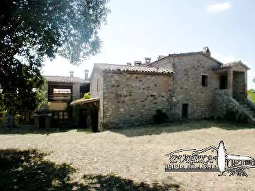 Immagine 7 di Terreno in vendita  in i poggi a Ficulle