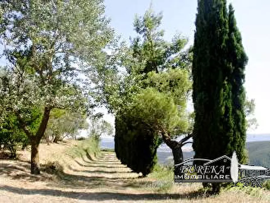 Immagine 21 di Terreno in vendita  in i poggi a Ficulle
