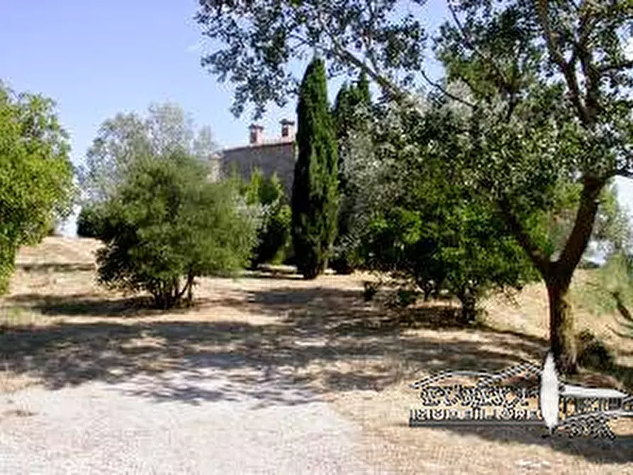 Immagine 22 di Terreno in vendita  in i poggi a Ficulle