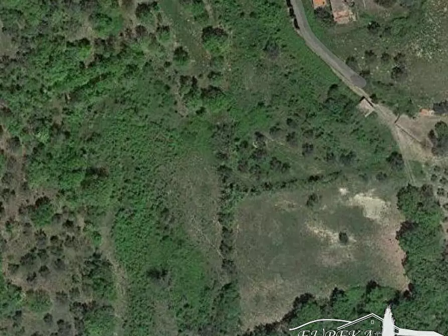 Immagine 27 di Terreno in vendita  in i poggi a Ficulle