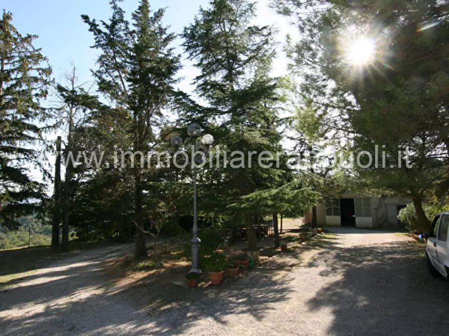 Immagine 28 di Rustico / casale in vendita  a Sinalunga
