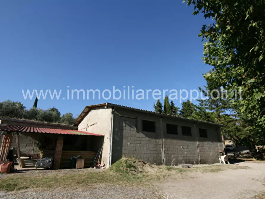 Immagine 30 di Rustico / casale in vendita  a Sinalunga