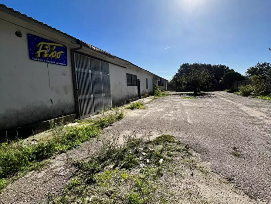 Immagine 9 di Capannone industriale in vendita  in san simplicio a Sassari