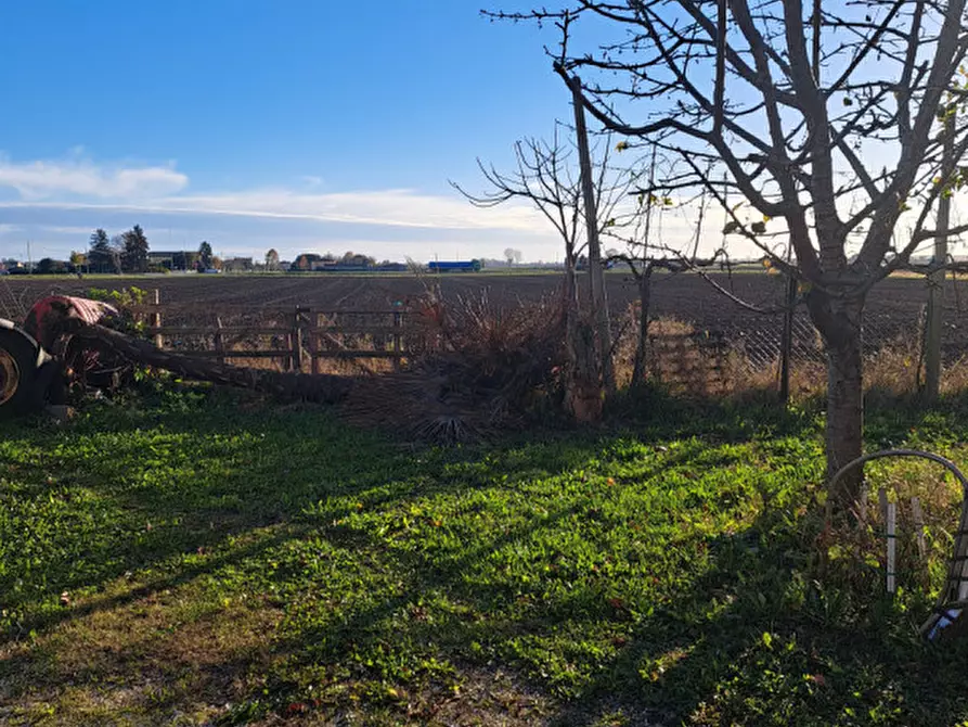 Immagine 3 di Casa indipendente in vendita  a Candiana