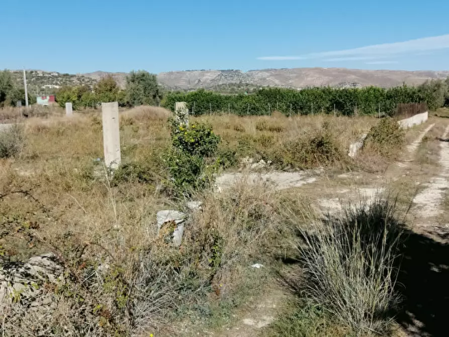 Immagine 3 di Terreno in vendita  a Avola