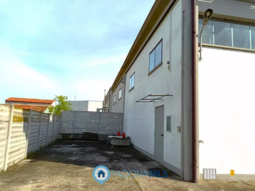 Immagine 3 di Capannone industriale in vendita  in via Bolzani a Masera' Di Padova