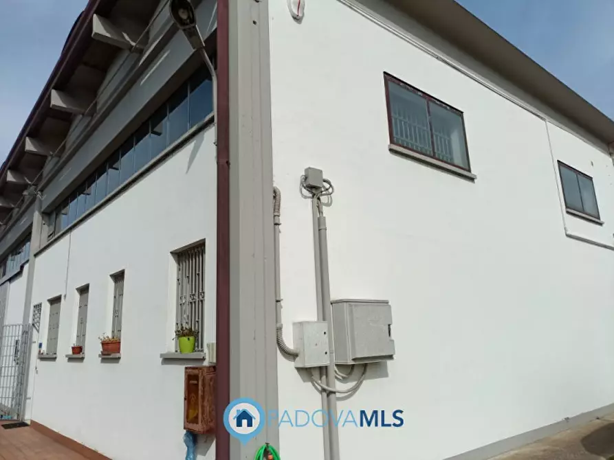 Immagine 4 di Capannone industriale in vendita  in via Bolzani a Masera' Di Padova