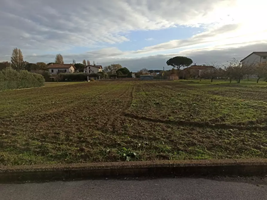 Immagine 3 di Terreno in vendita  in località Soccorso a Castiglione Del Lago
