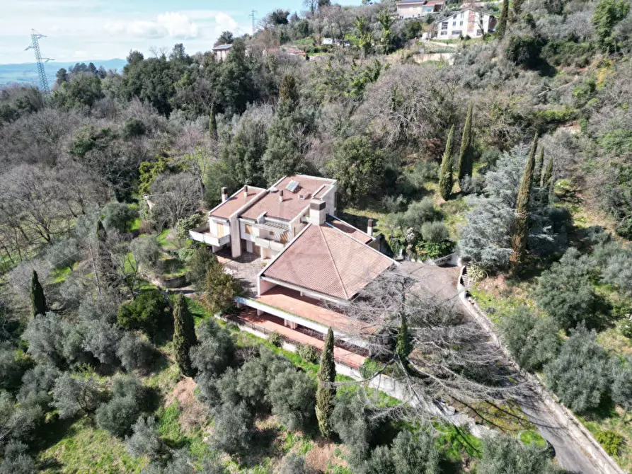 Immagine 1 di Villa in vendita  in Via della Lince a Terni