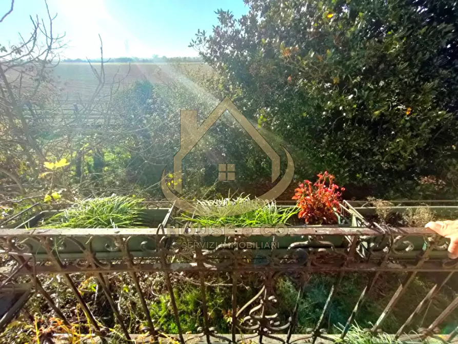 Immagine 30 di Villa in vendita  in Via Sanzio a Mortara