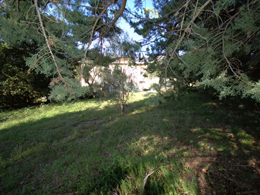 Immagine 3 di Terreno in vendita  a Corciano