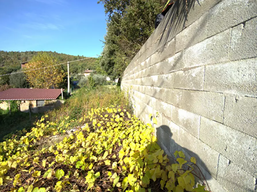 Immagine 11 di Terreno in vendita  a Corciano