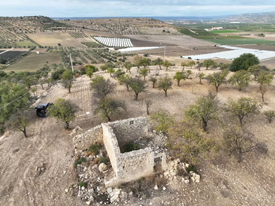 Immagine 1 di Rustico / casale in vendita  in C.da Carcicena a Noto