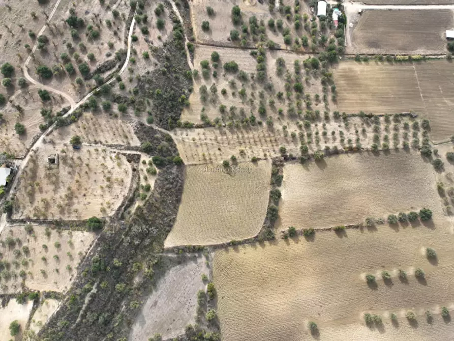 Immagine 8 di Rustico / casale in vendita  in C.da Carcicena a Noto