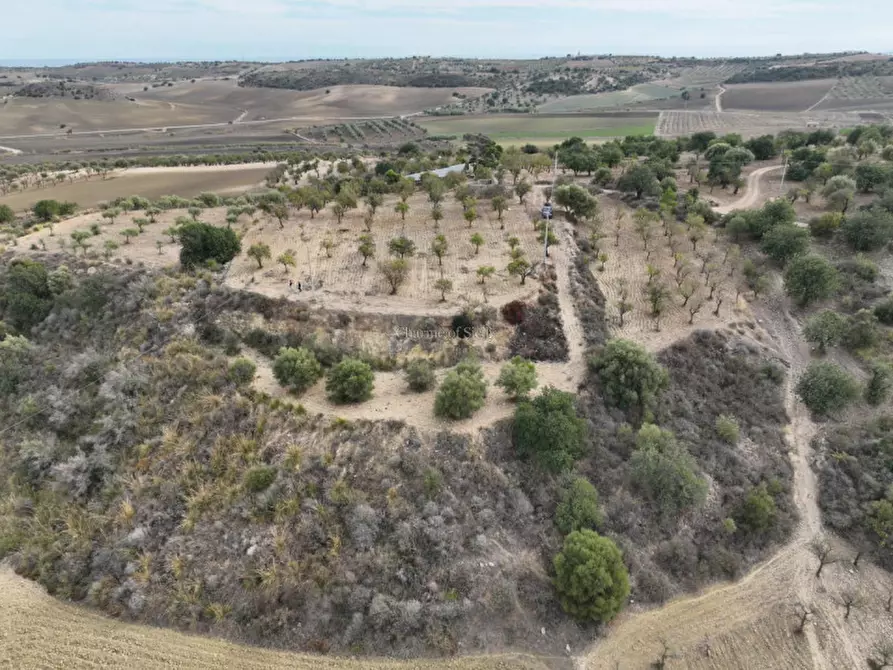 Immagine 9 di Rustico / casale in vendita  in C.da Carcicena a Noto