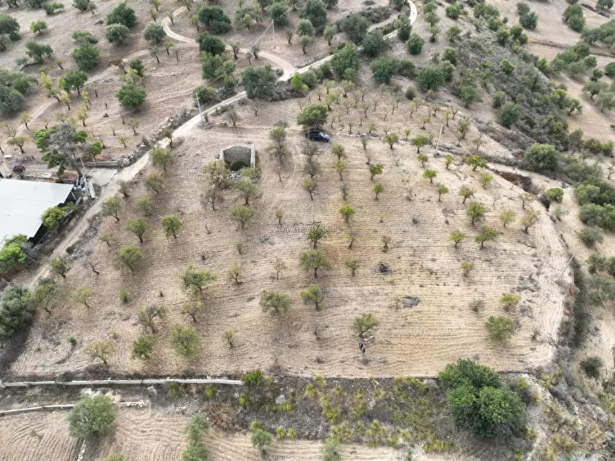 Immagine 10 di Rustico / casale in vendita  in C.da Carcicena a Noto