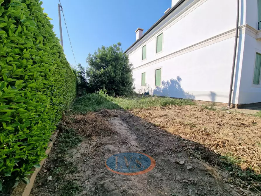 Immagine 3 di Casa quadrifamiliare in vendita  a Montegaldella