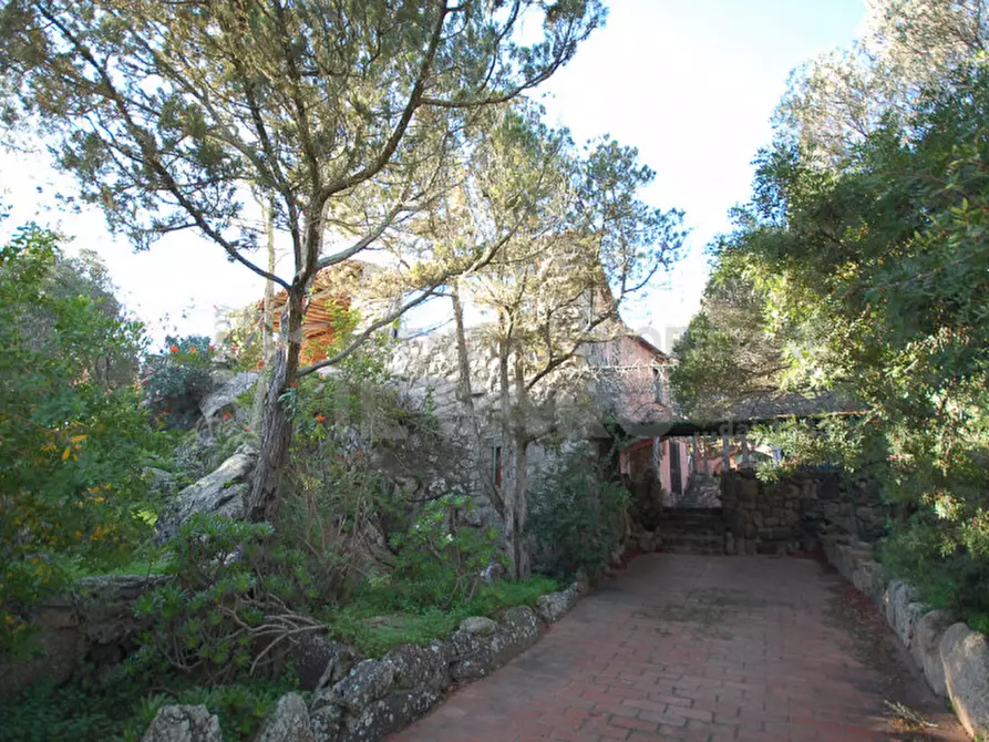 Immagine 30 di Villa in vendita  in Suareddu a La Maddalena
