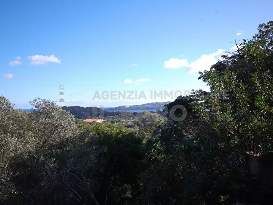 Immagine 36 di Villa in vendita  in Suareddu a La Maddalena