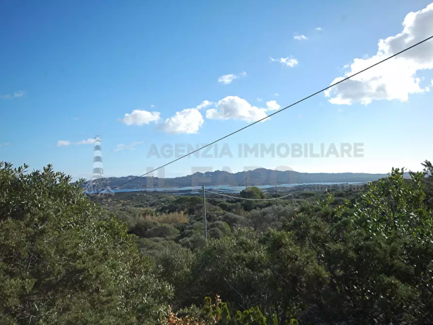 Immagine 40 di Villa in vendita  in Suareddu a La Maddalena