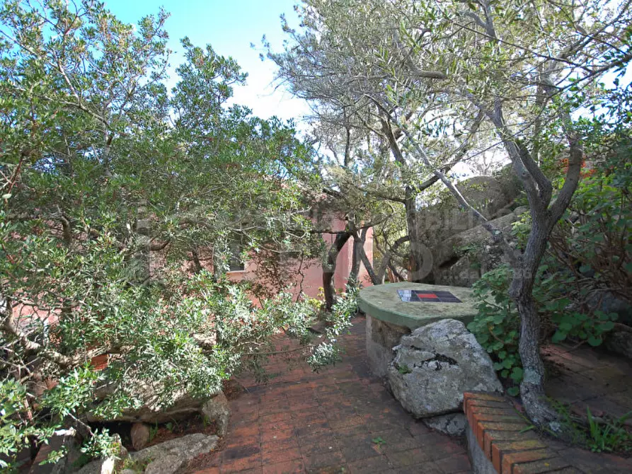 Immagine 46 di Villa in vendita  in Suareddu a La Maddalena