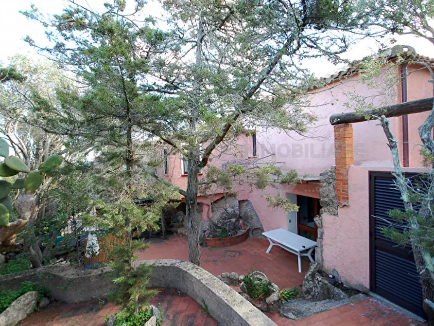 Immagine 56 di Villa in vendita  in Suareddu a La Maddalena