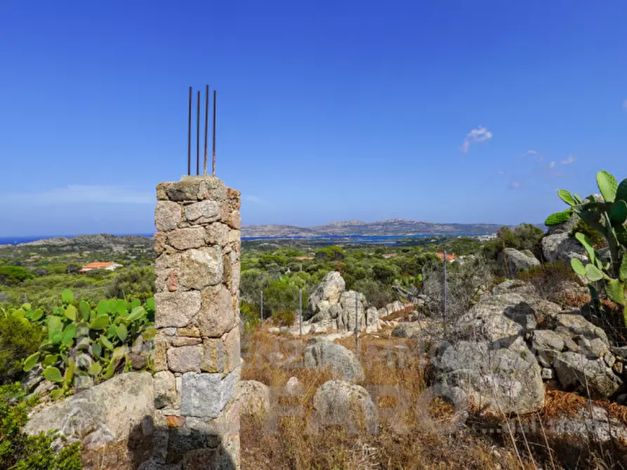 Immagine 59 di Villa in vendita  in Suareddu a La Maddalena