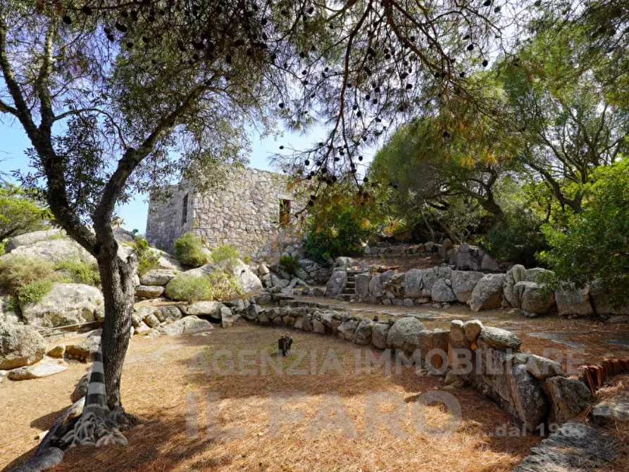 Immagine 62 di Villa in vendita  in Suareddu a La Maddalena