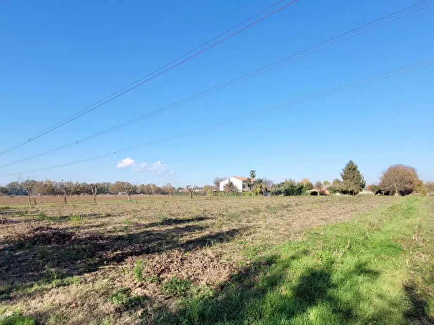 Immagine 3 di Terreno in vendita  in via Ponte della Cagna a Padova
