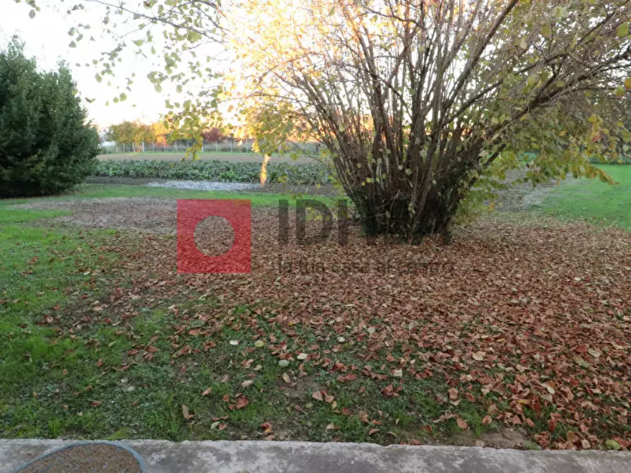 Immagine 5 di Appartamento in vendita  in ULSS a Preganziol