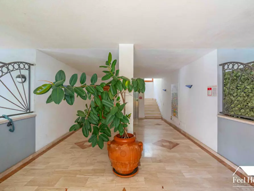 Immagine 19 di Appartamento in vendita  in VIA FEDERICO CONFALONIERI 45 a Olbia