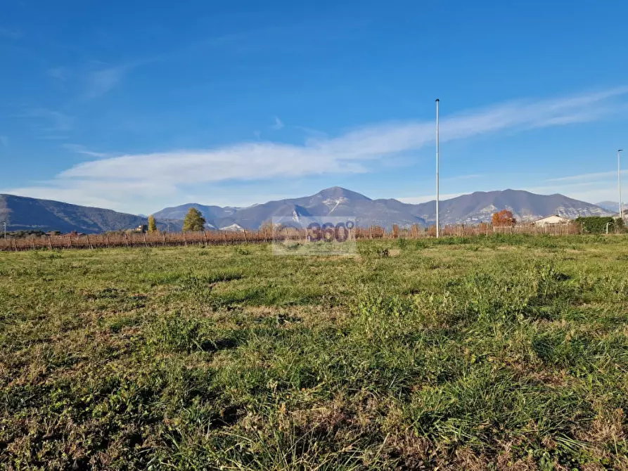 Immagine 3 di Terreno in vendita  in via risorgimento a Corte Franca