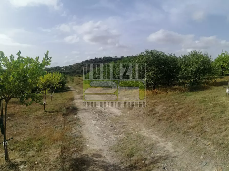 Immagine 2 di Terreno in vendita  in mammanelli a Avola