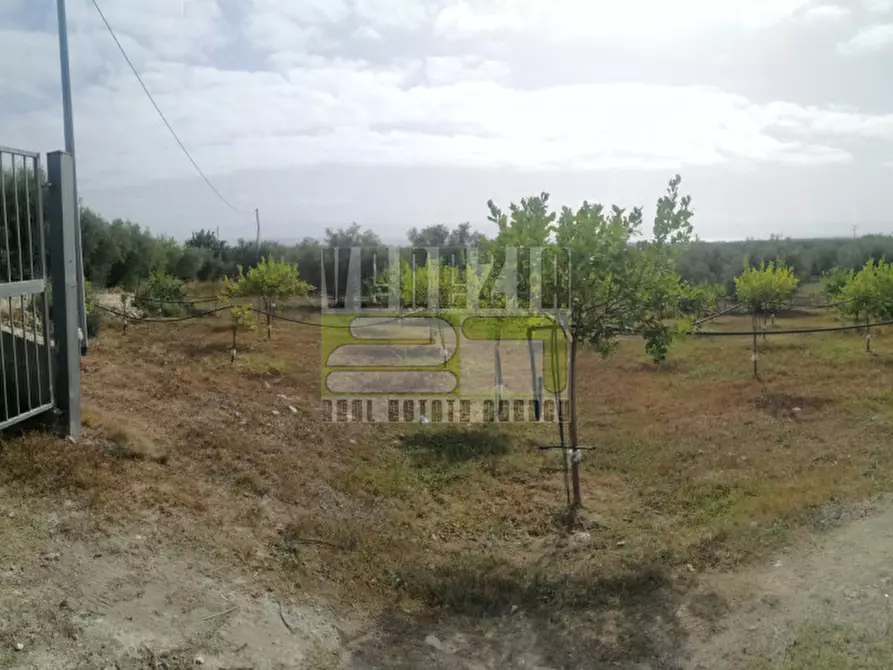 Immagine 3 di Terreno in vendita  in mammanelli a Avola