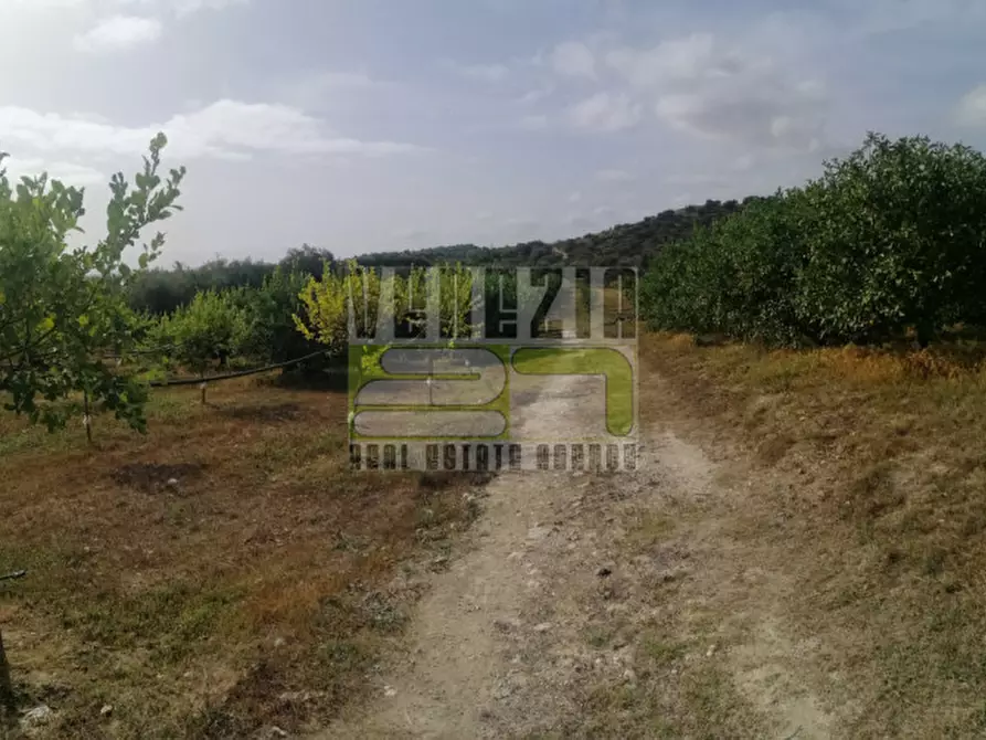 Immagine 4 di Terreno in vendita  in mammanelli a Avola