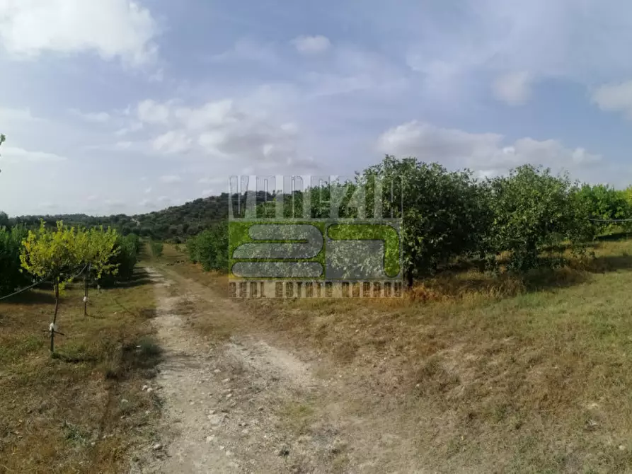 Immagine 5 di Terreno in vendita  in mammanelli a Avola