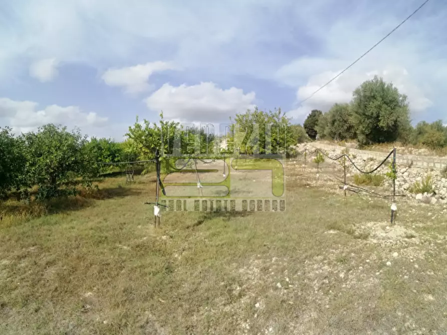 Immagine 6 di Terreno in vendita  in mammanelli a Avola