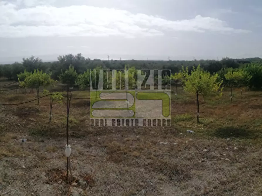 Immagine 7 di Terreno in vendita  in mammanelli a Avola