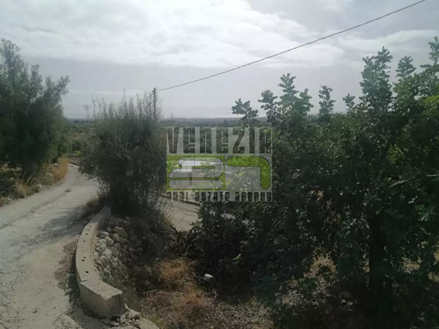 Immagine 8 di Terreno in vendita  in mammanelli a Avola